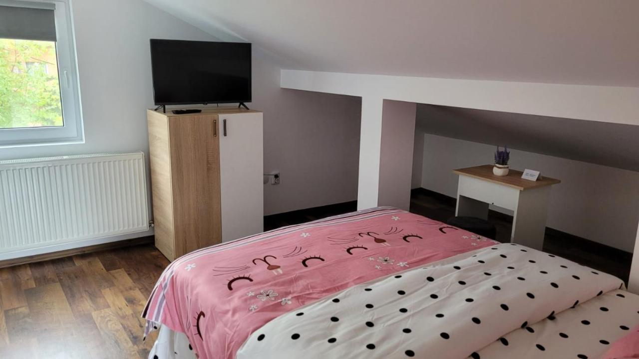 Casa Shiro Hotel Sinaia Luaran gambar