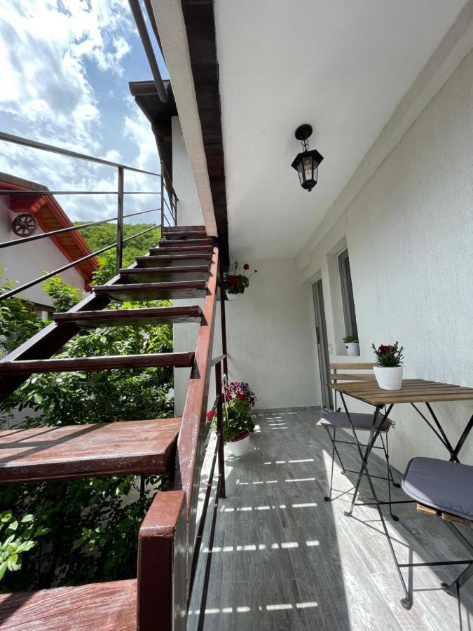 Casa Shiro Hotel Sinaia Luaran gambar