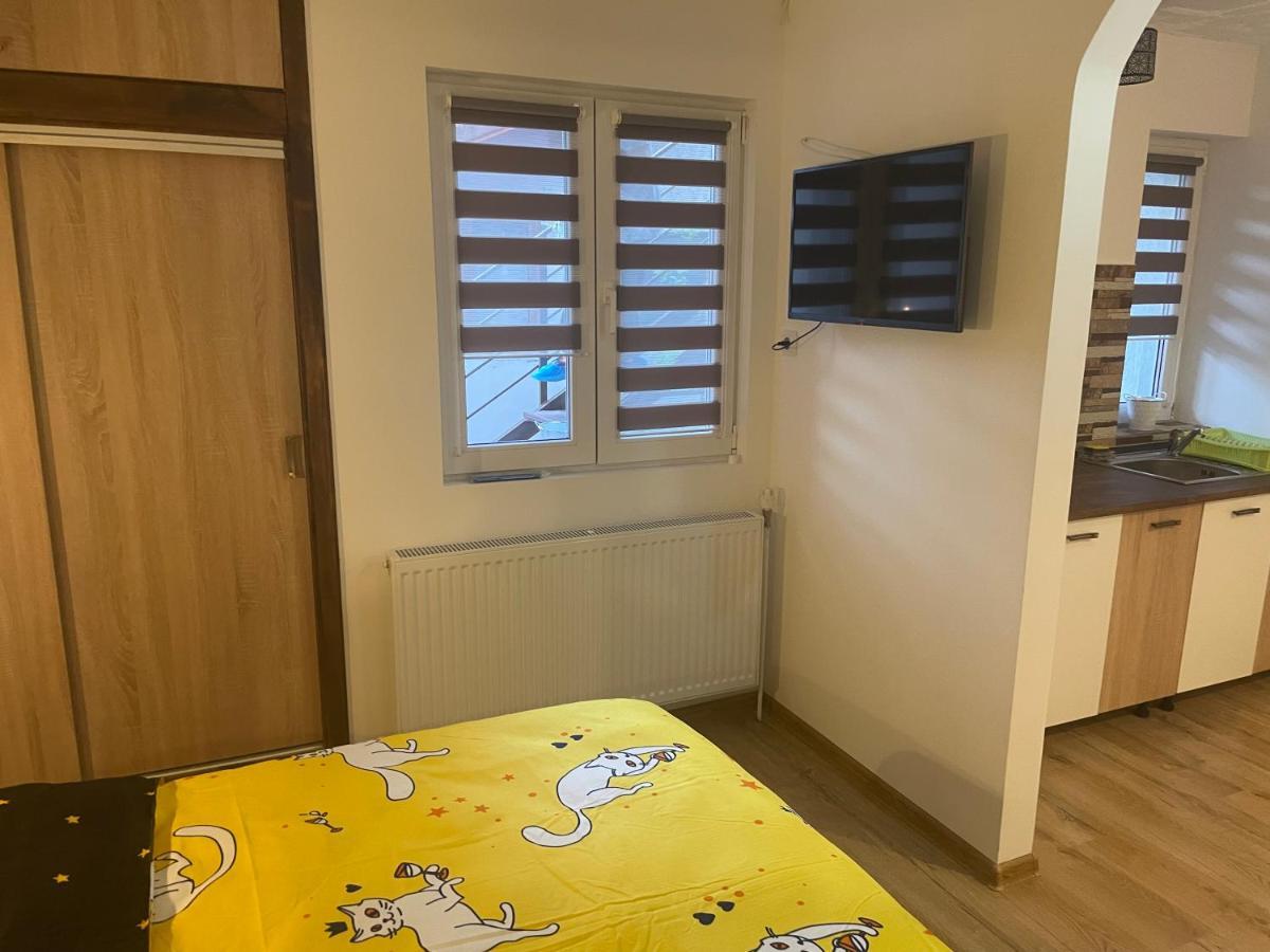 Casa Shiro Hotel Sinaia Luaran gambar